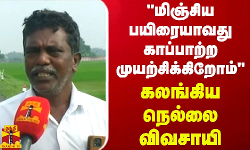 மிஞ்சிய பயிரையாவது காப்பாற்ற முயற்சிக்கிறோம் - கலங்கிய நெல்லை விவசாயி