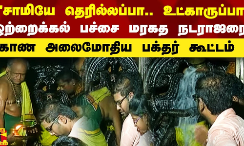 சாமியே தெரில்லப்பா.. உட்காருப்பா - ஒற்றைக்கல் பச்சை மரகத நடராஜரை காண அலைமோதிய பக்தர் கூட்டம்