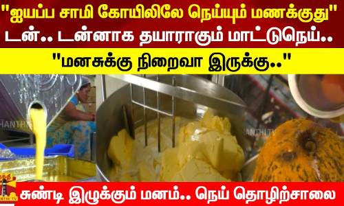 ஐயப்ப சாமி கோயிலிலே நெய்யும் மணக்குது டன்.. டன்னாக தயாராகும் மாட்டு நெய்..