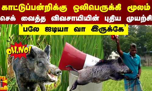 காட்டுப்பன்றிக்கு ஒலிபெருக்கி மூலம்  செக் வைத்த விவசாயியின் முயற்சி பலே ஐடியா வா இருக்கே FARM