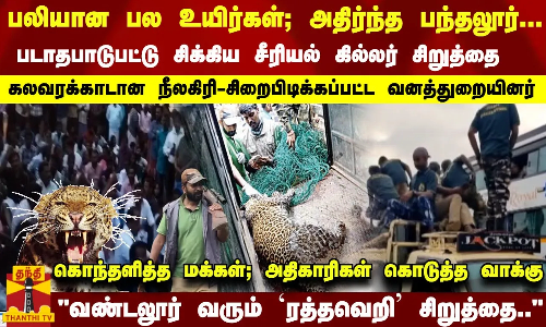பலியான உயிர்கள்... பிடிபட்ட சிறுத்தை - கலவரக்காடான நீலகிரி - வண்டலூர் வரும் ரத்தவெறி சிறுத்தை..