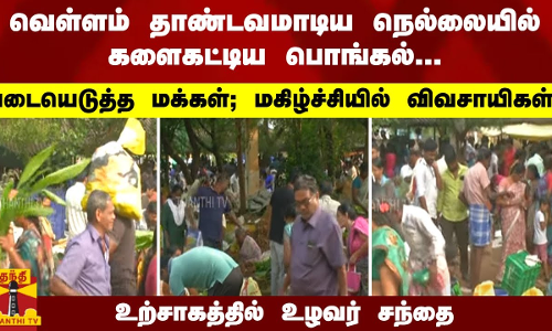 நெல்லையில் களைகட்டிய பொங்கல்... படையெடுத்த மக்கள்; மகிழ்ச்சியில் விவசாயிகள்