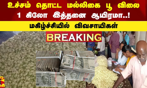 உச்சம் தொட்ட மல்லிகை பூ விலை - 1 கிலோ இத்தனை ஆயிரமா..!  மகிழ்ச்சியில் விவசாயிகள்