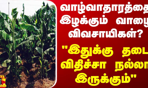 வாழ்வாதாரத்தை இழக்கும் வாழை விவசாயிகள்?.. இதுக்கு தடை விதிச்சா நல்லா இருக்கும்