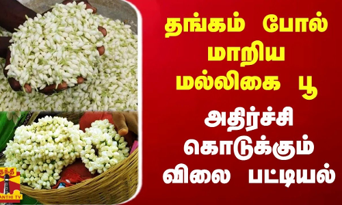 தங்கம் போல் மாறிய மல்லிகை பூ... அதிர்ச்சி கொடுக்கும் விலை பட்டியல்