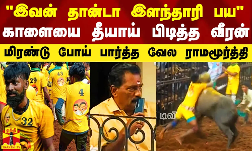 இவன் தான்டா இளந்தாரி பய.. காளையை தீயாய் பிடித்த வீரன்.. மிரண்டு போய் பார்த்த வேல ராமமூர்த்தி