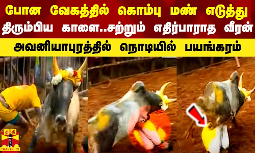 போன வேகத்தில் திரும்பி வந்த காளை.. சற்றும் எதிர்பார்க்காத வீரன்.. அவனியாபுரத்தில் நொடியில் பயங்கரம்