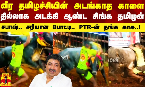 வீர தமிழச்சியின் அடங்காத காளை... தில்லாக அடக்கி ஆண்ட சிங்க தமிழன்.. சபாஷ்.. சரியான போட்டி