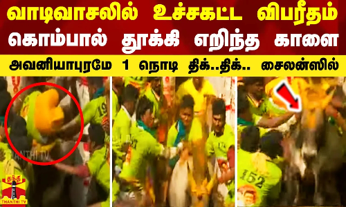 வாடிவாசலில் உச்சகட்ட விபரீதம்.. கொம்பால் தூக்கி எறிந்த காளை.. அவனியாபுரமே திக்..திக்.. சைலன்ஸில்