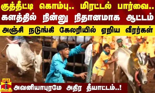 குத்தீட்டி கொம்பு.. மிரட்டல் பார்வை..  நின்னு நிதானமாக ஆட்டம் - நடுங்கி கேலரியில் ஏறிய வீரர்கள்