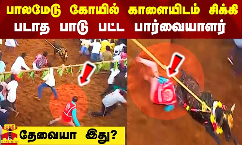 பாலமேடு கோயில் காளையிடம் சிக்கி படாத பாடு பட்ட பார்வையாளர் - தேவையா இது?