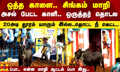 ஒத்த காளை.. ஒரேயொரு காளை.. சிங்கம் மாறி.. அசல் பேட்ட காளி.. கேலரியில் ஏறிய வீரன்கள்