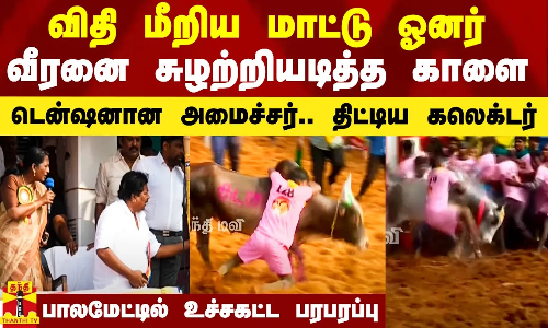 விதி மீறிய ஓனர்.. வீரனை சுழற்றியடித்த காளை.. டென்ஷனான அமைச்சர்.. ஓனரை திட்டிவிட்ட கலெக்டர்