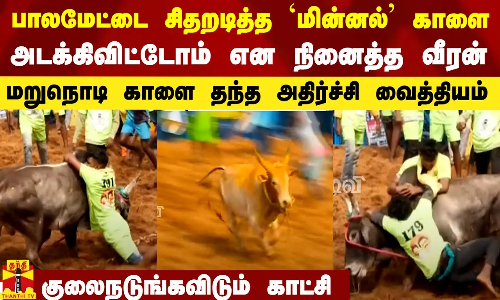 பாலமேட்டை சிதறடித்த `மின்னல் காளை.. அடக்கிவிட்டோம் என நினைத்த வீரன்.. மறுநொடி அதிர்ச்சி வைத்தியம்