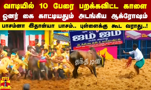 வாடியில் 10 பேரை பறக்கவிட்ட காளை ஓனர் கை காட்டியதும் அடங்கிய ஆக்ரோஷம்.. பாசம்னா இதான்யா பாசம்