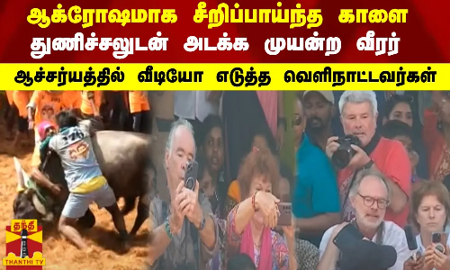 ஆக்ரோஷமாக சீறிப்பாய்ந்த காளை... அடக்க முயன்ற வீரர்...ஆச்சர்யத்தில் வீடியோ எடுத்த வெளிநாட்டவர்கள்