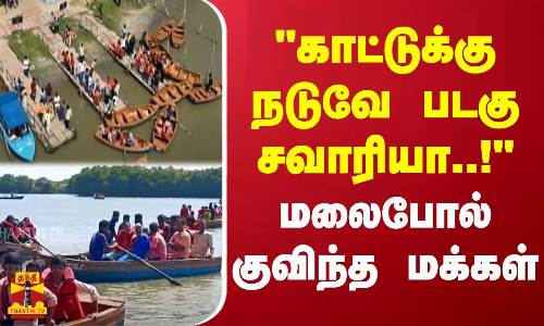 காட்டுக்கு நடுவே படகு சவாரியா..! - மலைபோல் குவிந்த மக்கள்