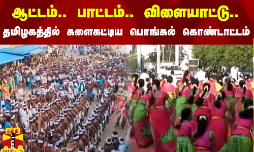 ஆட்டம்...பாட்டம்... விளையாட்டு... தமிழகத்தில் களைகட்டிய பொங்கல் கொண்டாட்டம்