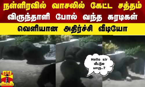 நள்ளிரவில் வாசலில் கேட்ட சத்தம் - விருந்தாளி போல் வந்த கரடிகள்..வெளியான அதிர்ச்சி வீடியோ