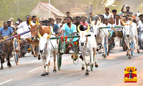 களைகட்டிய மாட்டு வண்டிப்பந்தயம்  சீறிப்பாய்ந்த மாடுகள் - கண்டுகளித்த மக்கள்
