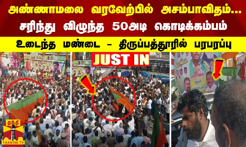 #JUSTIN : அண்ணாமலை வரவேற்பில் அசம்பாவிதம்... சரிந்து விழுந்த 50அடி கொடிக்கம்பம் - உடைந்த மண்டை