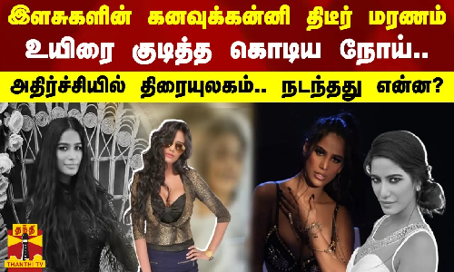 இளசுகளின் கனவுக்கன்னி திடீர் மரணம்உயிரை குடித்த கொடிய நோய்.. அதிர்ச்சியில் திரையுலகம்.. நடந்தது என்ன?