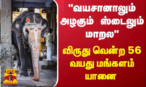 வயசானாலும் அழகும் ஸ்டைல்-லும் மாறல  விருது வென்ற 56 வயது மங்களம் யானை