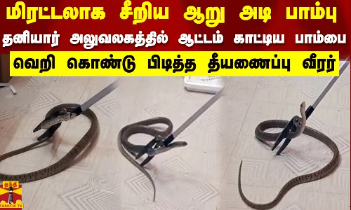 மிரட்டலாக சீறிய ஆறு அடி பாம்பு..தனியார் அலுவலகத்தில் பிடித்த தீயணைப்பு வீரர் | snake video
