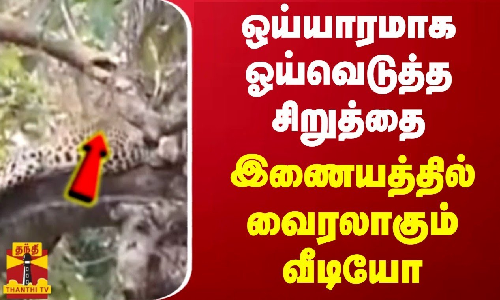 ஒய்யாரமாக ஓய்வெடுத்த சிறுத்தை.. இணையத்தில் வைரலாகும் வீடியோ