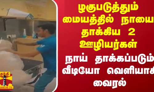 ழகுபடுத்தும் மையத்தில் நாயை தாக்கிய 2 ஊழியர்கள்-நாய் தாக்கப்படும் வீடியோ வெளியாகி வைரல்
