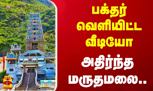 பக்தர் வெளியிட்ட வீடியோ - அதிர்ந்த மருதமலை..