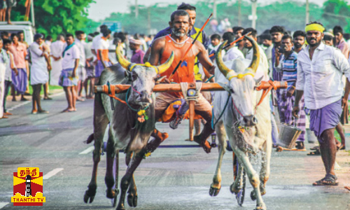 மாட்டு வண்டி பந்தயம் அனைத்து மாவட்ட எஸ்.பி க்களுக்கு சுற்றறிக்கை அனுப்ப உத்தரவு மாட்டு வண்டி பந்தயம் அனைத்து மாவட்ட எஸ்.பி க்களுக்கு சுற்றறிக்கை அனுப்ப உத்தரவு