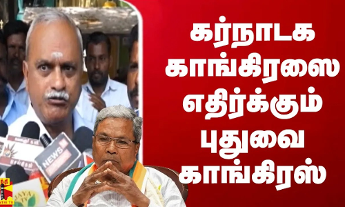 தெரு நாய்கள் துரத்தியதால் தப்பிக்க முயன்ற நபர்...நொடியில் போன உயிர் - பதைபதைக்கும் சிசிடிவி காட்சி