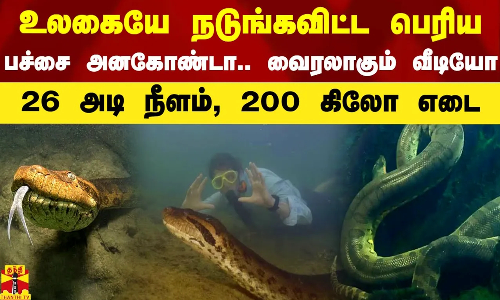 26 அடி நீளம், 200 கிலோ எடை... நடுங்கவிட்ட உலகிலேயே பெரிய பச்சை அனகோண்டா - வைரலாகும் வீடியோ 26 அடி நீளம், 200 கிலோ எடை... நடுங்கவிட்ட உலகிலேயே பெரிய பச்சை அனகோண்டா - வைரலாகும் வீடியோ
