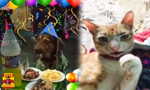 நெட்டுல... டிரெண்டிங்காவும்... வைரலாவும்...  பரவிட்டிருக்க பல ஜாலியான விஷயங்கள்