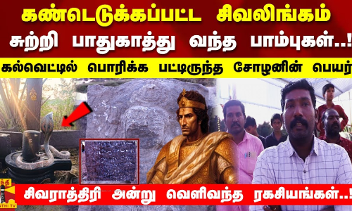 கண்டெடுக்கப்பட்ட சிவலிங்கம்..சுற்றி பாதுகாத்து வந்த பாம்புகள்!சிவராத்திரி அன்று வெளிவந்த ரகசியங்கள்!