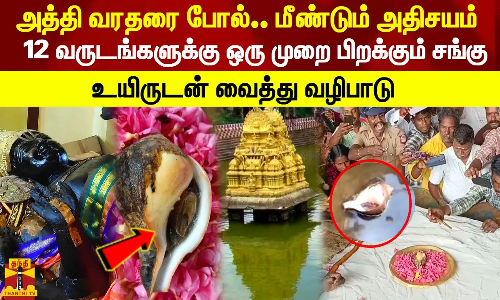அத்தி வரதரை போல்.. மீண்டும் அதிசயம் 12 வருடங்களுக்கு ஒரு முறை பிறக்கும் சங்கு.. உயிருடன் வைத்து வழிபாடு அத்தி வரதரை போல்.. மீண்டும் அதிசயம் 12 வருடங்களுக்கு ஒரு முறை பிறக்கும் சங்கு.. உயிருடன் வைத்து வழிபாடு