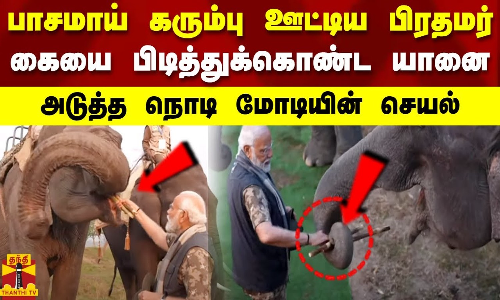 பாசமாய் கரும்பு ஊட்டிய பிரதமர்.. கையை பிடித்துக்கொண்ட யானை.. அடுத்த நொடி மோடியின் செயல்