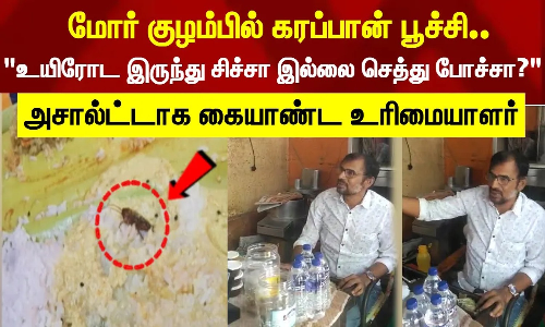 மோர் குழம்பில் கரப்பான் பூச்சி உயிரோட இருந்து சிச்சா இல்லை செத்து போச்சா?