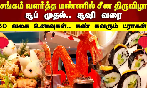 சங்கம் வளர்த்த மண்ணில் சீன திருவிழா சூப் முதல்.. சூஷி வரை  50 வகை உணவுகள்.. கண் கவரும் ட்ராகன்