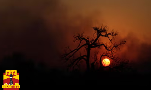 காலநிலை மாற்றத்தால் வாட்டி வதைக்கும் வெப்பம்