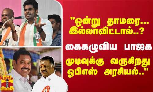 ஒன்று தாமரை... இல்லாவிட்டால்..? கைகழுவிய பாஜக - முடிவுக்கு வருகிறது ஓபிஎஸ் அரசியல்.. ஒன்று தாமரை... இல்லாவிட்டால்..? கைகழுவிய பாஜக - முடிவுக்கு வருகிறது ஓபிஎஸ் அரசியல்..