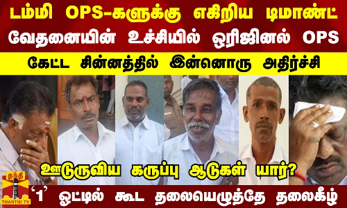 டம்மி OPS-களுக்கு எகிறிய டிமாண்ட்...வேதனையின் உச்சியில் ஒரிஜினல் OPS..கேட்ட சின்னத்தில் இன்னொரு அதிர்ச்சி..ஊடுருவிய கருப்பு ஆடுகள் யார்? - `1 ஓட்டில் கூட தலையெழுத்தே தலைகீழ்