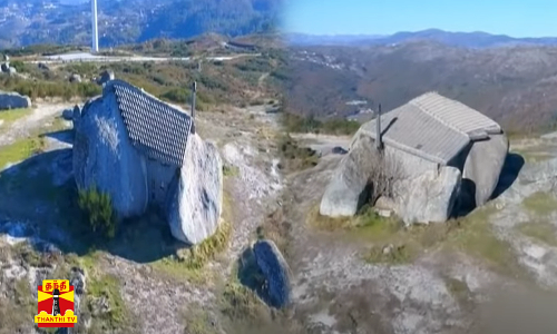 பியர் கேனில் பிரமாண்ட வீடு  1மதுப்பிரியர்களின் சொர்க்க வாசல்