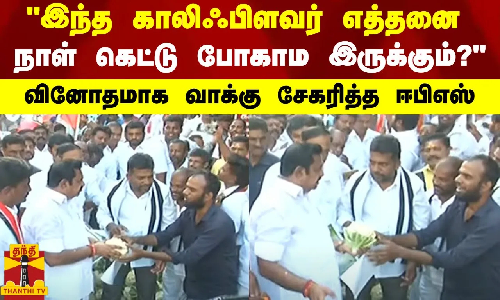 இந்த காலிஃபிளவர் எத்தனை நாள் கெட்டு போகாம இருக்கும்? - வினோதமாக வாக்கு சேகரித்த ஈபிஎஸ்