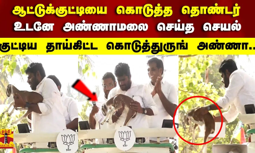 ஆட்டுக்குட்டியை கொடுத்த தொண்டர்  உடனே அண்ணாமலை செய்த செயல்..!