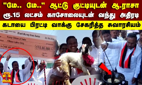 மே.. மே.. ஆட்டு குட்டியுடன் ஆ.ராசா.. ரூ.15 லட்சம் காசோலையுடன் வந்து அதிரடி.. கடாயை பிரட்டி உருட்டி வாக்கு சேகரித்த சுவாரசியம்