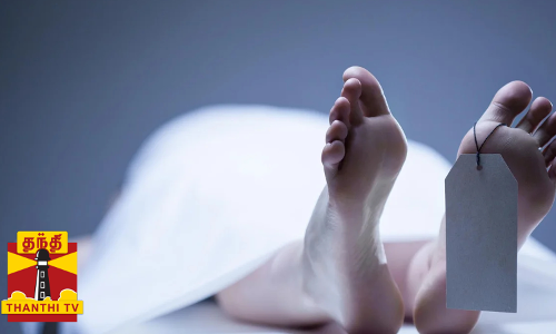 மூதாட்டியின் தலையில் கல்லைப் போட்டுக் கொலை  சிசிடிவி காட்சி வெளியாகி அதிர்ச்சி