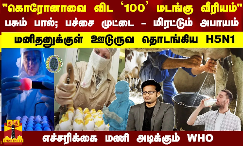 கொரோனாவை விட `100 மடங்கு வீரியம்... பசும் பால்; பச்சை முட்டை - மிரட்டும் அபாயம் - மனிதனுக்குள் ஊடுருவ தொடங்கிய H5N1 - எச்சரிக்கை மணி அடிக்கும் WHO