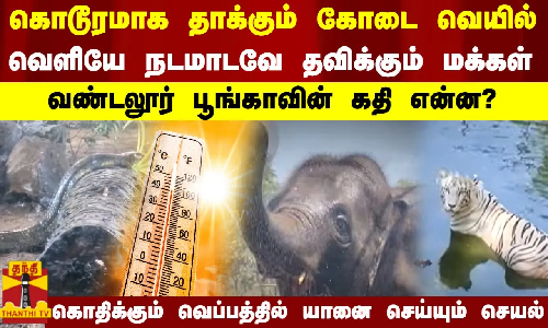 கொடூரமாக தாக்கும் கோடை வெயில்..வெளியே நடமாடவே தவிக்கும் மக்கள்..வண்டலூர் பூங்காவின் கதி என்ன - கொதிக்கும் வெப்பத்தில் யானை செய்யும் செயல்